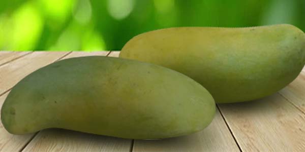 Манго: популярные сорта экзотического фрукта