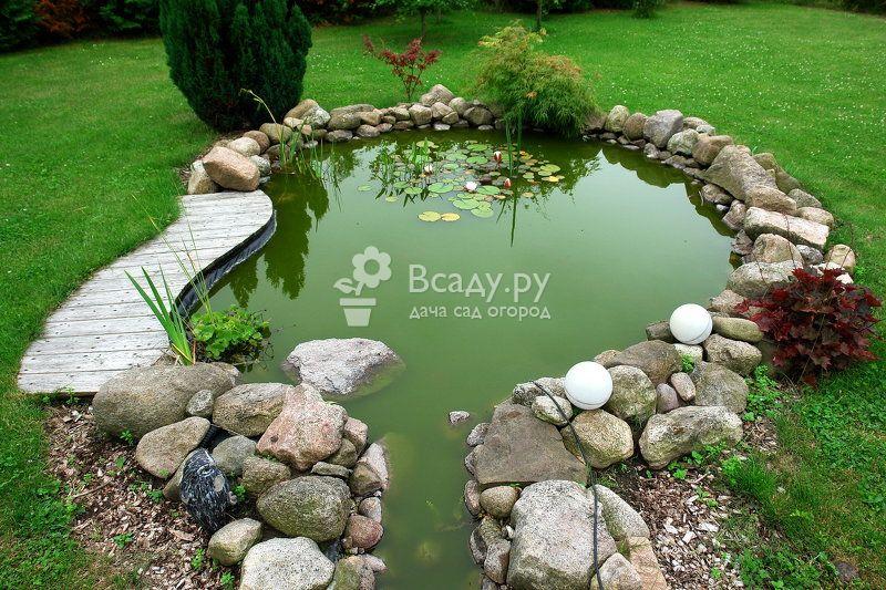 Виды искусственных водоемов для сада с фото и описанием