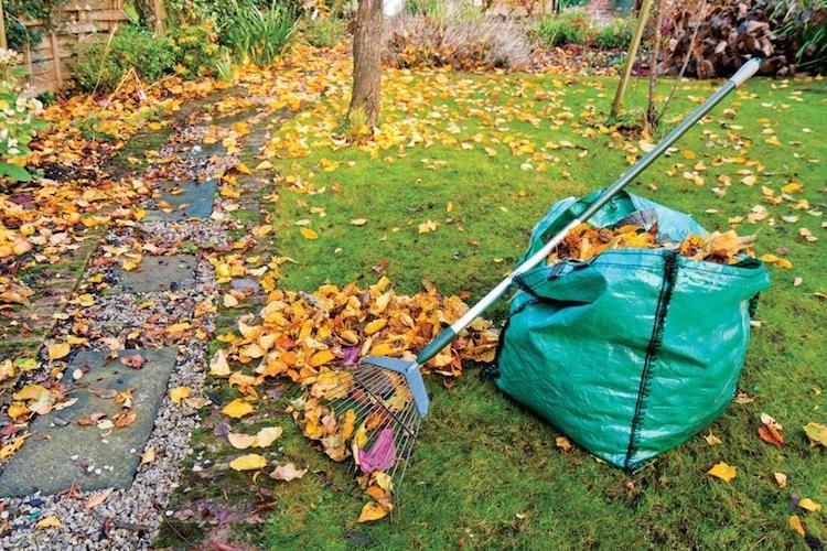 Подготовка сада к зиме осенью: список дел и полезные советы для садовода