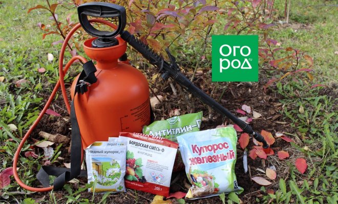 7 осенних пестицидов для обработки сада и огорода