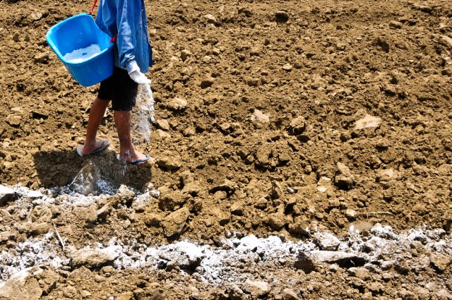 Засоленная почва: как определить и бороться с ней?