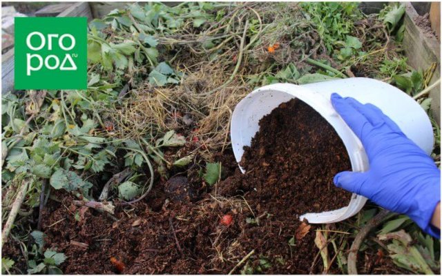 Что делать с компостом осенью — спасаем от заморозков ценное удобрение