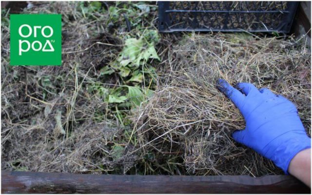 Что делать с компостом осенью — спасаем от заморозков ценное удобрение