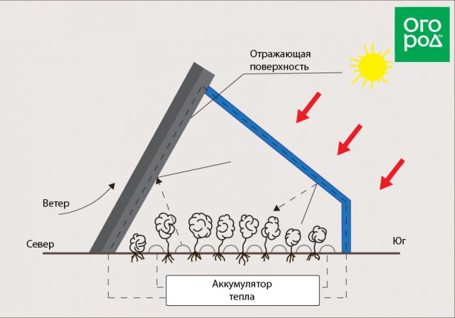 Гелиотеплица Иванова — как построить солнечную овощерезку своими руками