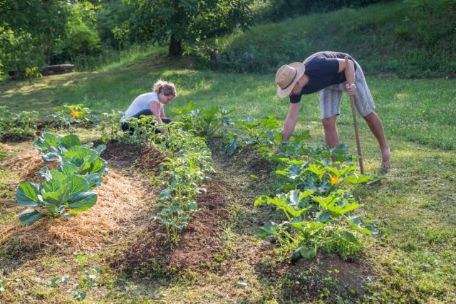 12 принципов пермакультуры: огород в гармонии с природой