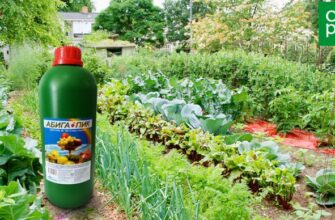 Как правильно совмещать химические пестициды и биопрепараты