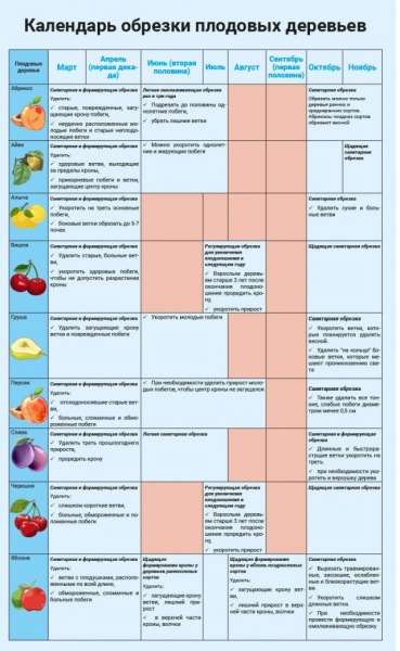 Календарь обрезки плодовых деревьев: сроки и функции в таблице