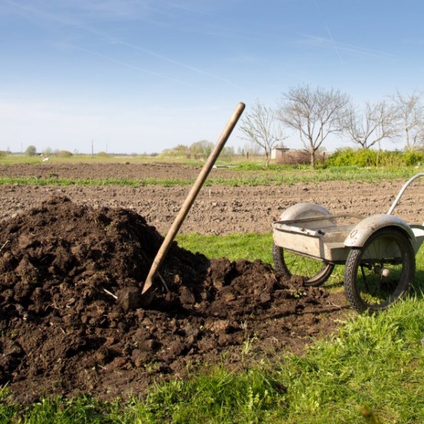 Как сделать плодородную землю из глины или глины: пошаговая инструкция