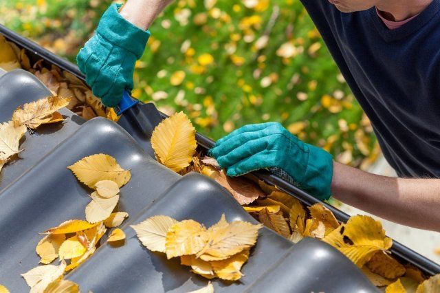 Нужно ли убирать опавшие листья в саду осенью