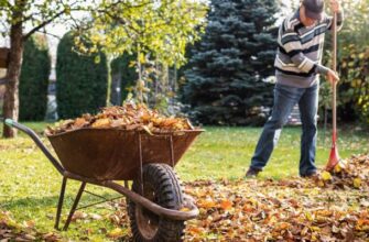 Нужно ли убирать из сада опавшие осенью листья