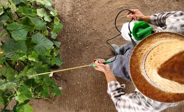 Дезинсекционная обработка сада: 7 важных вопросов