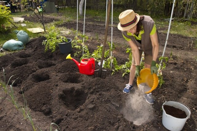 Урожайные грядки «без химикатов»: советы опытных садоводов