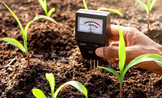 Приборы для измерения кислотности почвы и воды – какие бывают и как использовать