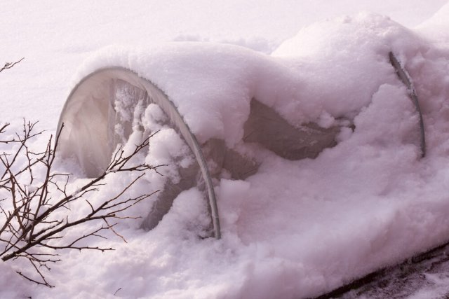 Как осмотреть укрытые многолетники зимой во время морозов, снегопадов и оттепелей