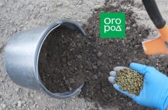 Правильная органика для почвы