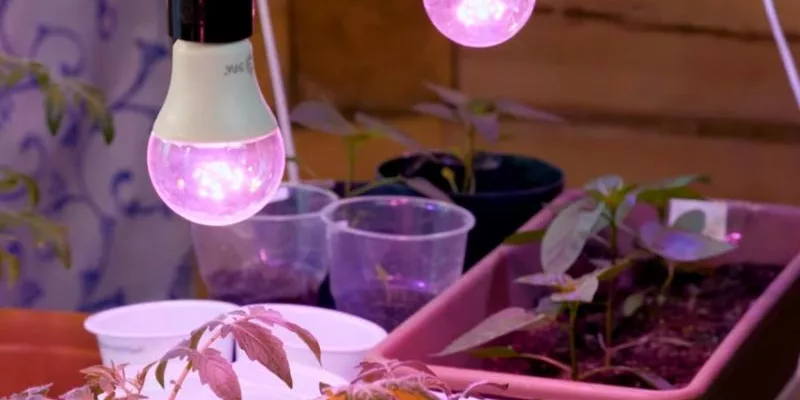 Сколько света нужно растениям и какую лампу выбрать для досветки