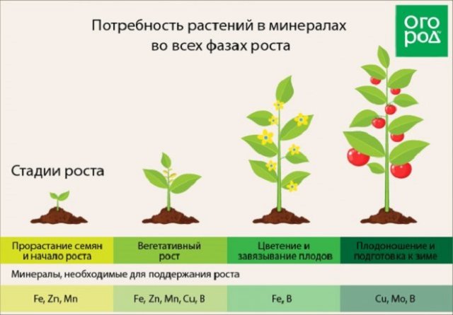 Зачем закапывать под деревьями гвозди, подковы и другое железо