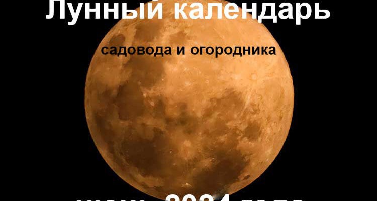 Лунный календарь садовода и огородника на июнь 2024 года