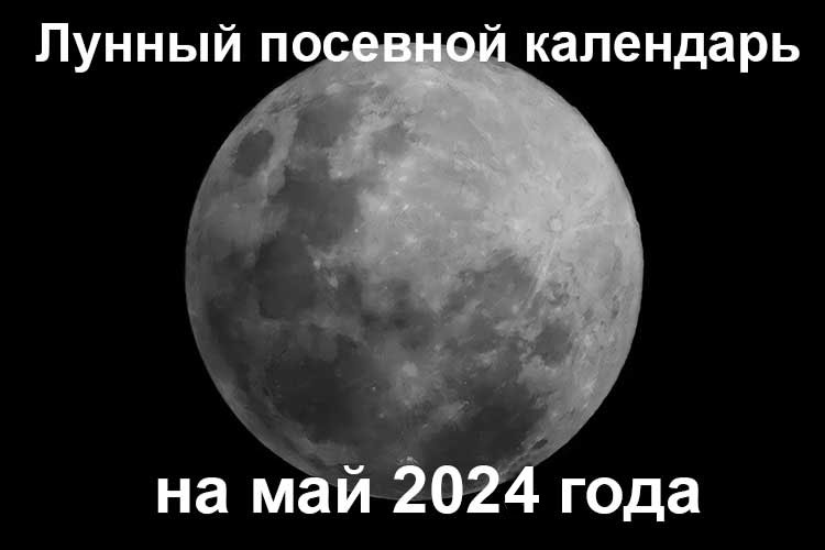 Лунный календарь садовника на май 2024 года