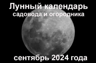 Лунный календарь садовода и огородника на сентябрь 2024 года