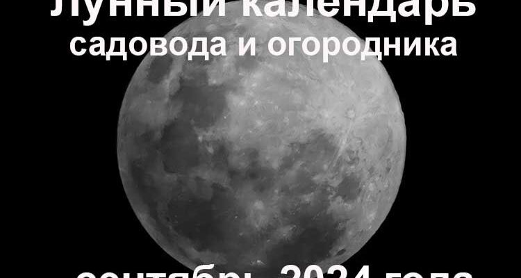 Лунный календарь садовода и огородника на сентябрь 2024 года