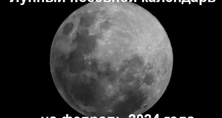 Лунный посевной календарь садовода на февраль 2024 года