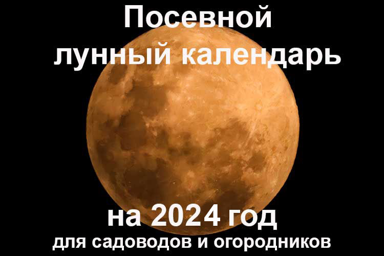 2024 садовод сеет по лунному календарю и огороднику