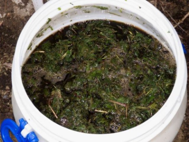 Как бороться с сорняками после прополки