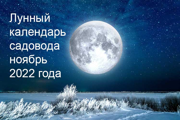 Лунный календарь садовника на ноябрь 2022 года