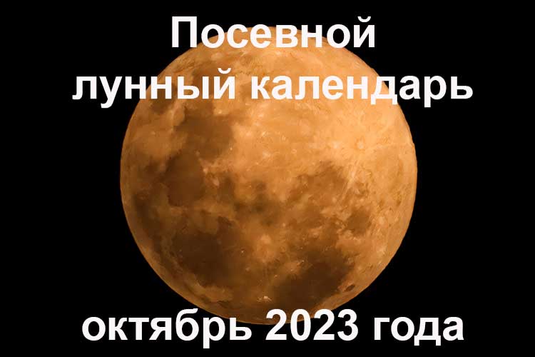 Лунный календарь на октябрь 2023 года для садоводов и огородников
