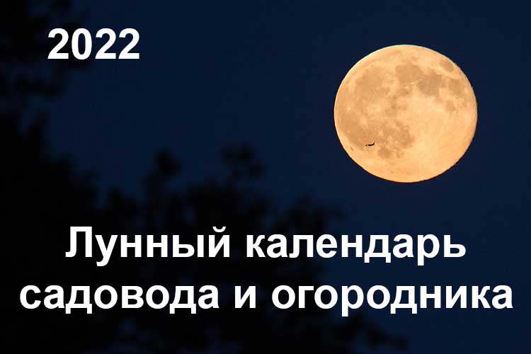 Лунный календарь на 2022 год для садоводов, садоводов, огородников