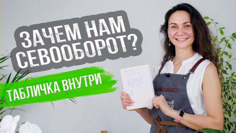 Как бороться с вредителями капусты на огороде: эффективные препараты и народные средства