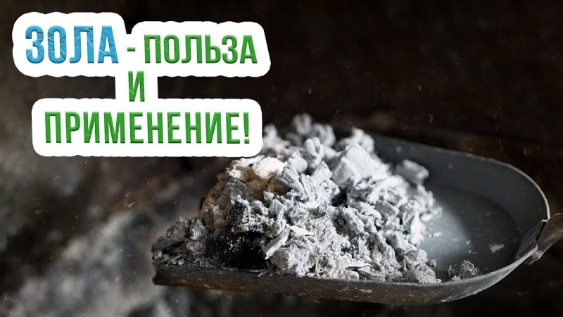 Как бороться с вредителями капусты на огороде: эффективные препараты и народные средства