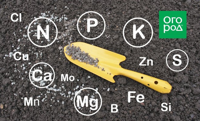 Элементы-конкуренты: как подкормить, чтобы не навредить