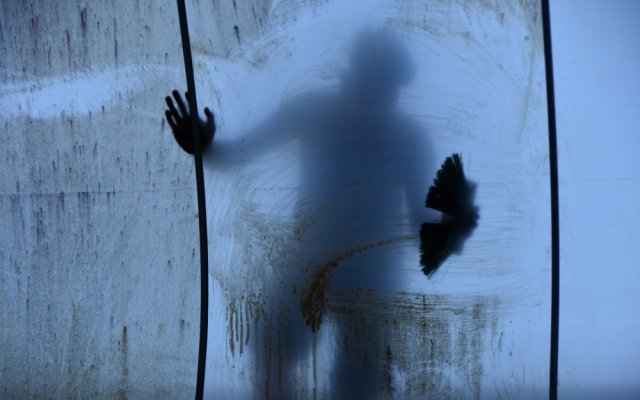 Порядок в теплице: уборка, чистка и дезинфекция