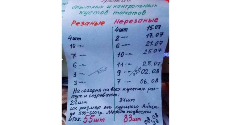 Результаты эксперимента: Нужно ли сеять и обрезать рассаду по лунному календарю?