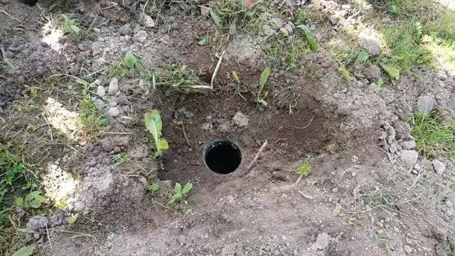 Как ловить кротов с помощью обычной трехлитровой банки
