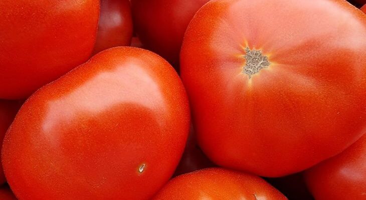 Медово-сладкие: 3 сорта томатов, вкус которых по-настоящему радует гурманов