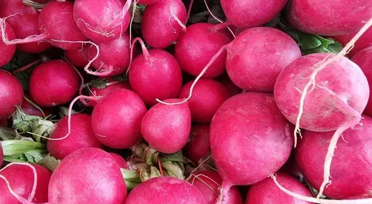 Редиска будет сочная, крупная и без горчинки: 3 хитрости выращивания урожая мечты