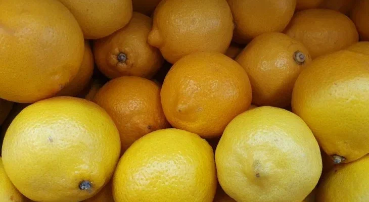 Свежие лимоны с собственного дерева на подоконнике — это реальность, а не мечта. 