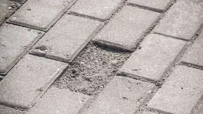 Эта хитрость с дорожками сделает ваш участок больше и уютнее