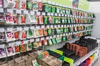 Что скрывают продавцы семян: как проверить всхожесть за 5 минут без посадки