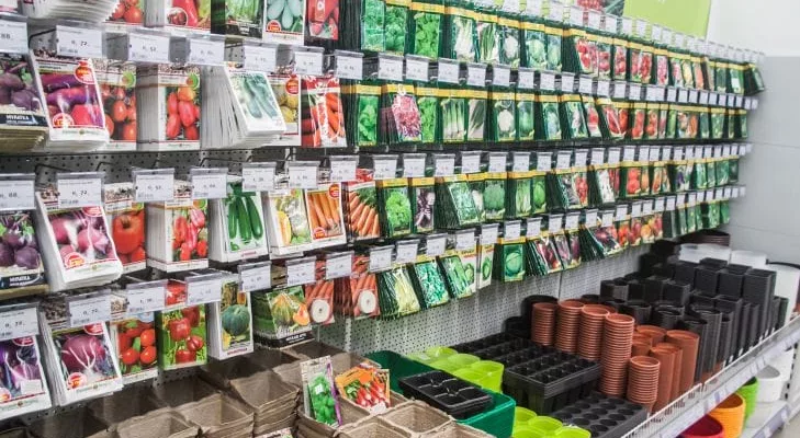 Что скрывают продавцы семян: как проверить всхожесть за 5 минут без посадки