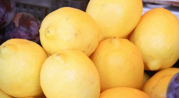 Цитрусовый сад на подоконнике: какие ошибки мешают добиться урожая