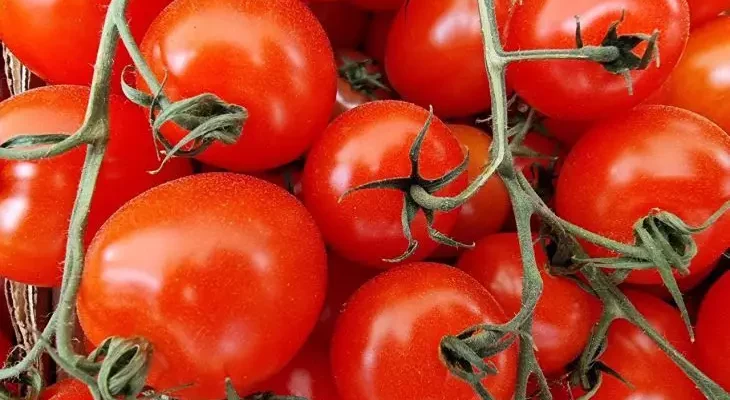 Этот томат ошеломляет многих: с 1 куста - по 8 кило в любую погоду