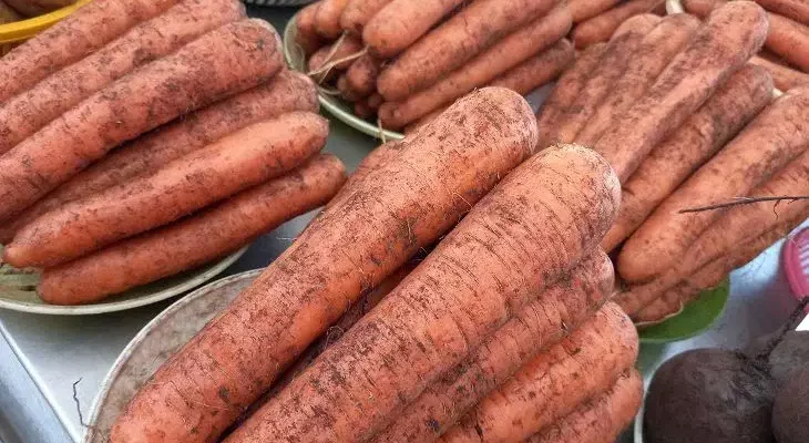 Как вырастить ровную и сочную морковь: сладкая, хоть варенье вари