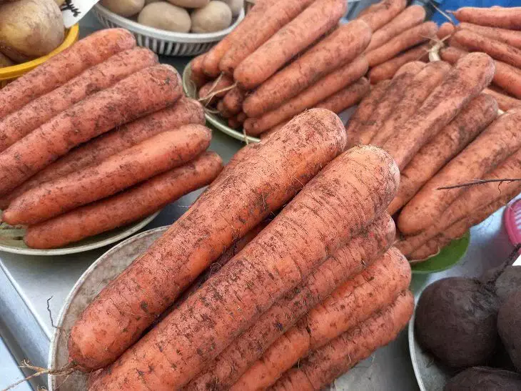 Как вырастить гладкую, сочную морковь: сладкую, вкусную и идеальную для варенья