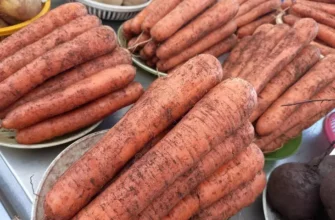 Секрет огромной моркови: добавьте в грядку необычный ингредиент