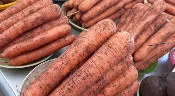 Секрет огромной моркови: добавьте в грядку необычный ингредиент