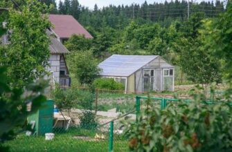Почвенный пирог: как построить высокую грядку за один вечер без копания ямы и тачки грунта